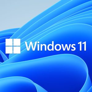Alternative view of MICROSOFT WIN 11 PRO 64BIT DSP